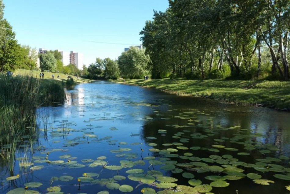 Ilustračný obrázok k článku Člnkovanie na Chorvátskom ramene: Krásne prírodné zákutia budeme môcť obdivovať z loďky