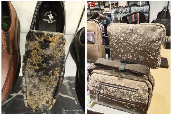 Ilustračný obrázok k článku KURIOZITA DŇA: Plesne sa "vymódili" do luxusného tovaru