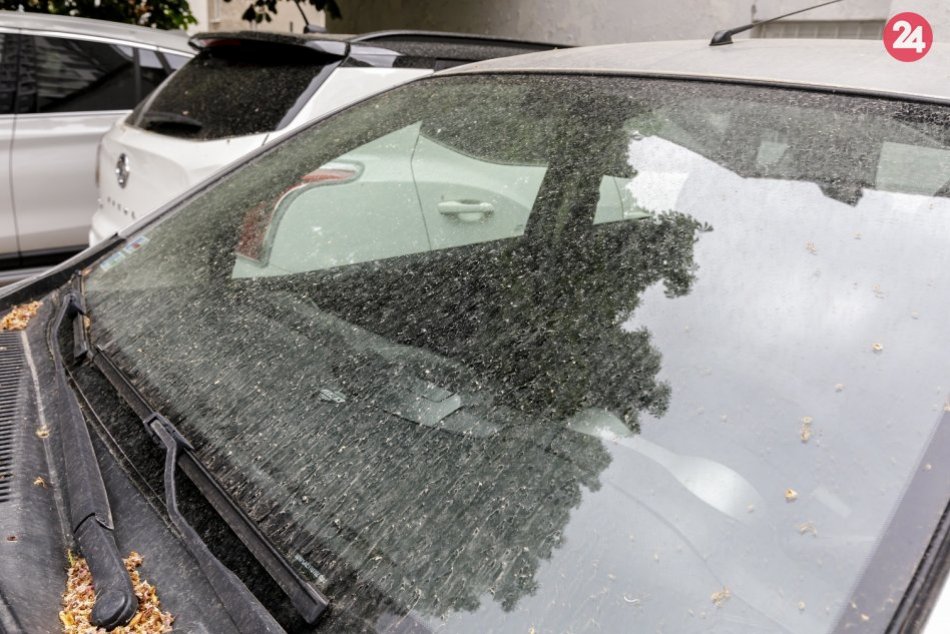 Ilustračný obrázok k článku Konečne! Peľu, ktorý spôsoboval žltý povlak na autách a oknách, ODZVONILO