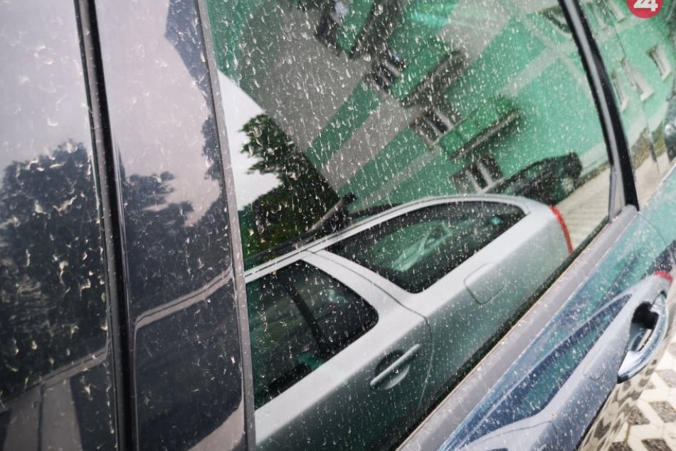 Ilustračný obrázok k článku Opäť k nám mieri prah zo Sahary! Čo okrem neho ešte HROZÍ?