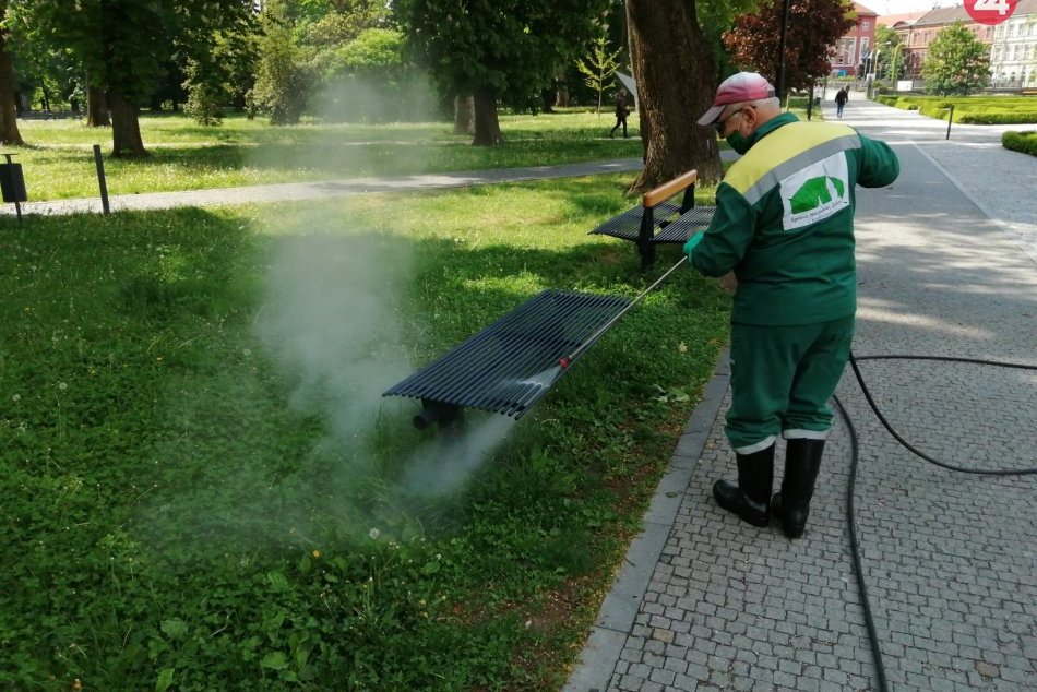 Ilustračný obrázok k článku V meste začali ničiť burinu ekologicky len horúcou parou, FOTO