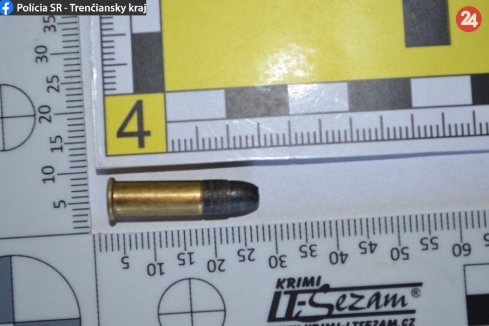 Ilustračný obrázok k článku Prievidzská vyšetrovateľka o zločine: Muž (46) má vážny problém, FOTO