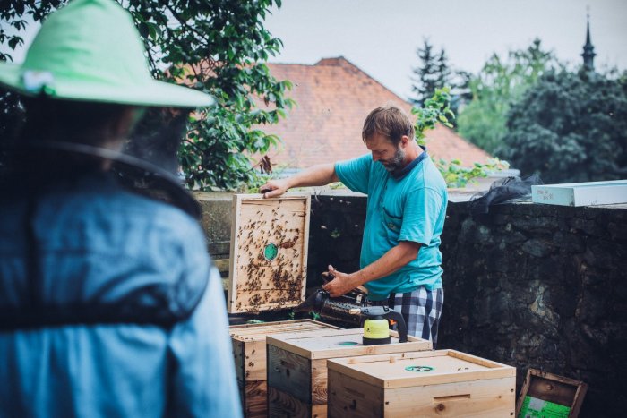 Ilustračný obrázok k článku Stanislav Kowalski o Komunitnej záhrade: Najviac ma fascinuje životaschopnosť včiel