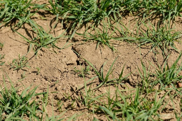 Ilustračný obrázok k článku Vodári prišli so SMUTNÝM zistením: V Banskobystrickom kraji je najmenej vody za 10 rokov