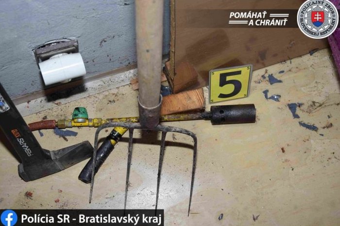 Ilustračný obrázok k článku Streľba v rodinnom dome: Policajt pri zákroku použil zbraň