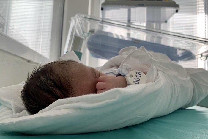 Ilustračný obrázok k článku Mama chlapčeka z hniezda záchrany sa ozvala, chce syna späť