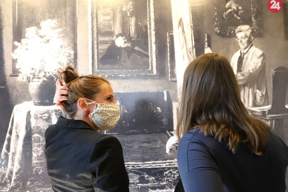 Ilustračný obrázok k článku Bezplatný vstup do múzeí a galérií ministerstvo zruší