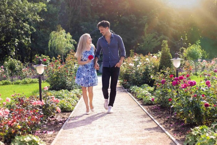 Ilustračný obrázok k článku TIP NA VÝLET: Najväčšia súkromná záhrada ruží na Slovensku je v Dolnej Krupej