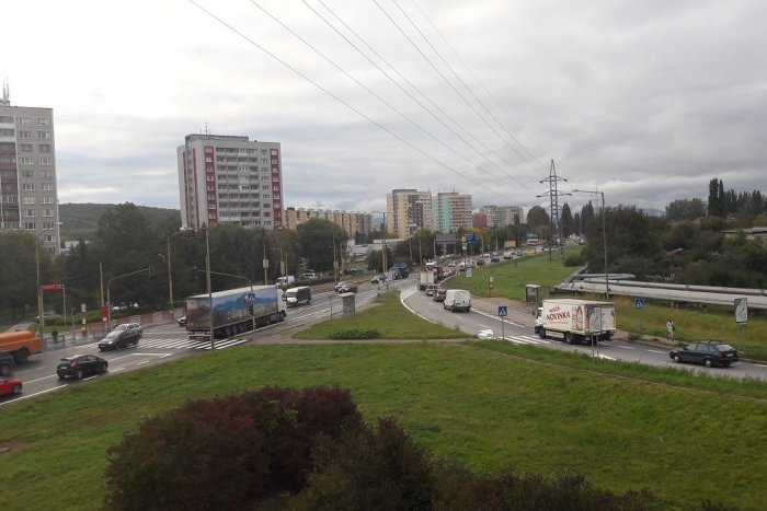 Ilustračný obrázok k článku Najväčší výrub v Košiciach. Na Slaneckej ceste padne 381 stromov