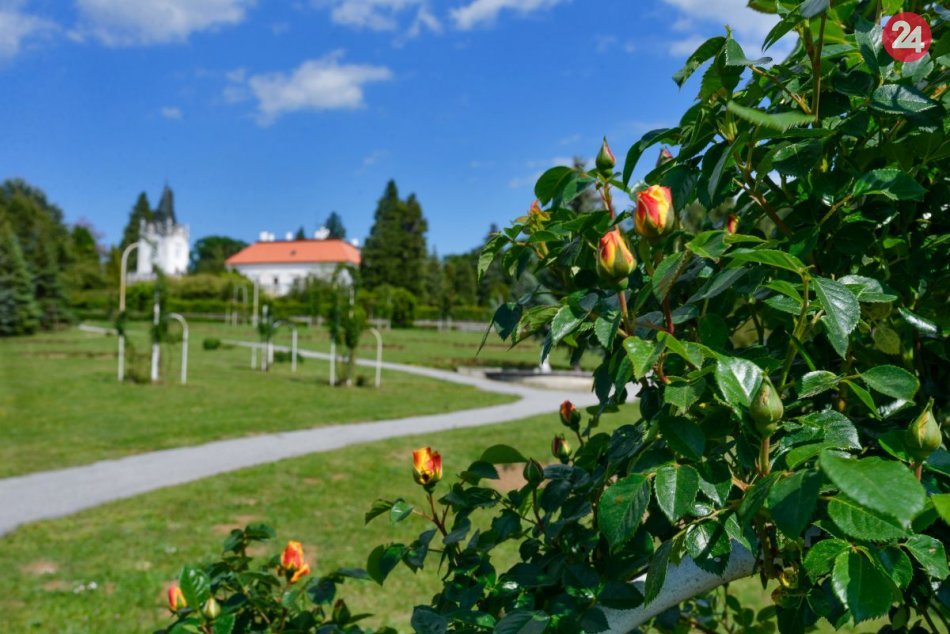 Ilustračný obrázok k článku Neseďte doma! Arborétum Mlyňany opäť láka návštevníkov