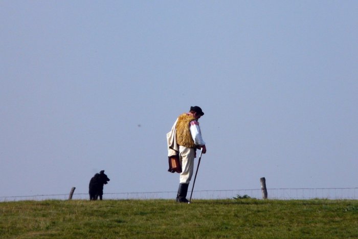 Ilustračný obrázok k článku Nemá kto pásť a dojiť: O prácu pastierov nie je v okolí Humenného záujem