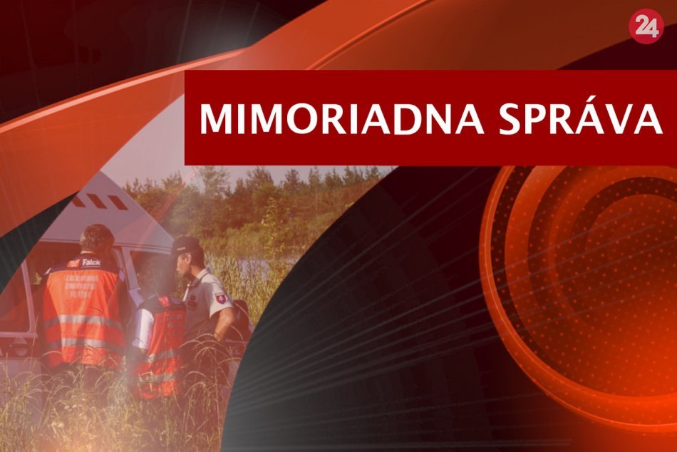 Ilustračný obrázok k článku AKTUALITA: Útok medveďa na Liptove! Napadnutý muž má viaceré zranenia