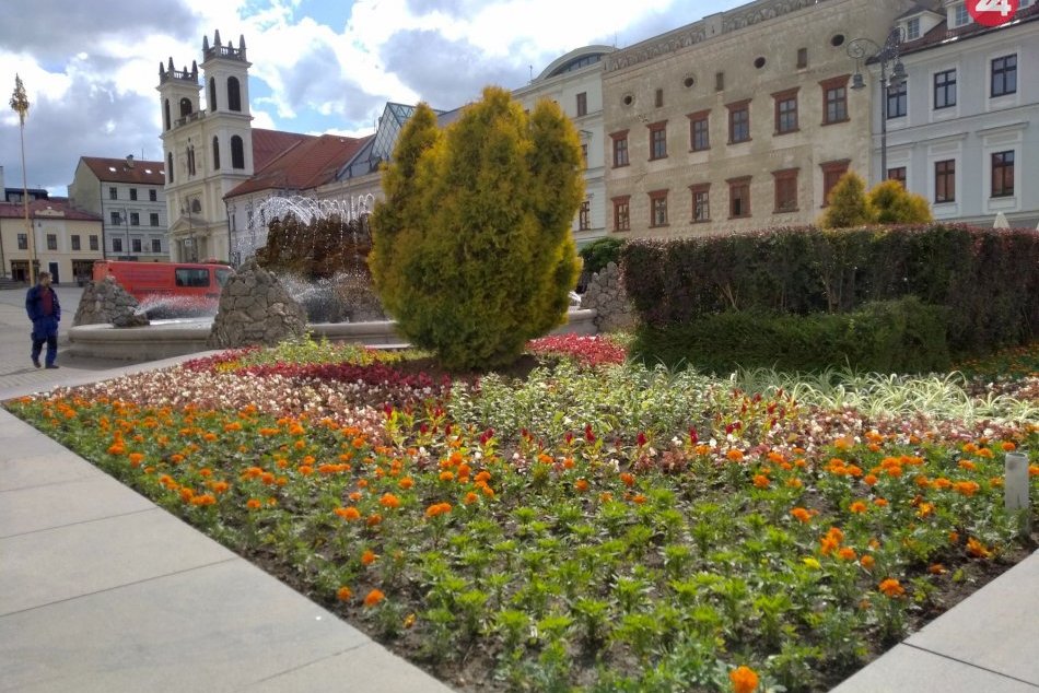 Ilustračný obrázok k článku Bystričanov veľmi nepotešíme: K peľom pribudol ďalší strašiak pre alergikov