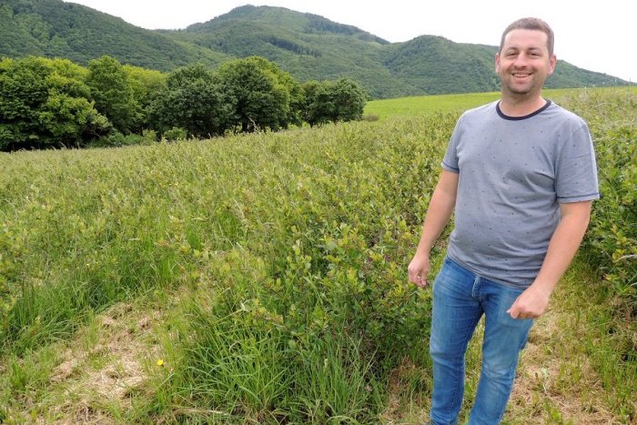 Ilustračný obrázok k článku Peter a Michaela majú pri Žiari ekofarmu: Čo pestujú, by ste asi neuhádli