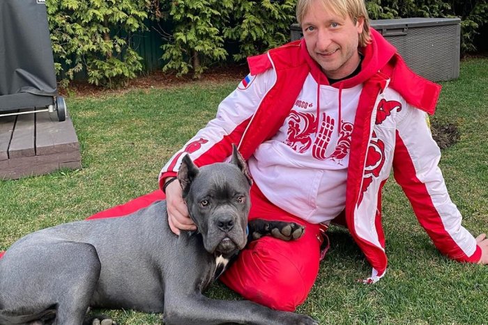 Ilustračný obrázok k článku Ruský krasokorčuliar Pľuščenko poslal tvrdý odkaz hejterom: Neležte na gauči, ale makajte!