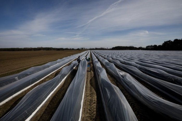 Ilustračný obrázok k článku 5000 nových pracovných miest na Slovensku! Neuveríte, v akom odvetví ich nájdeme