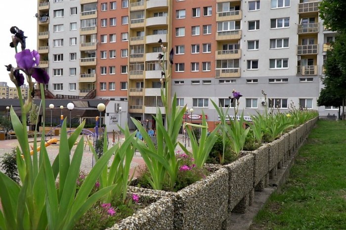 Ilustračný obrázok k článku Centrum Dlhých dielov ožíva. Betón vymenili za stromy a kríky