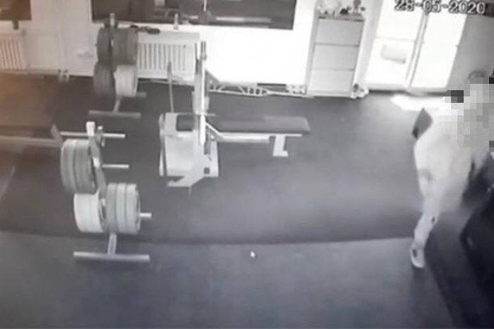 Ilustračný obrázok k článku Mladý Bystričan (21) má vážny problém: Do fitnescentra si nešiel zacvičiť