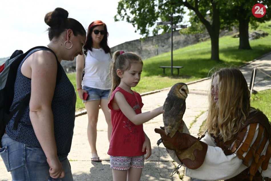 Ilustračný obrázok k článku Leto na Trenčianskom hrade bude pestré: Pripravená séria podujatí