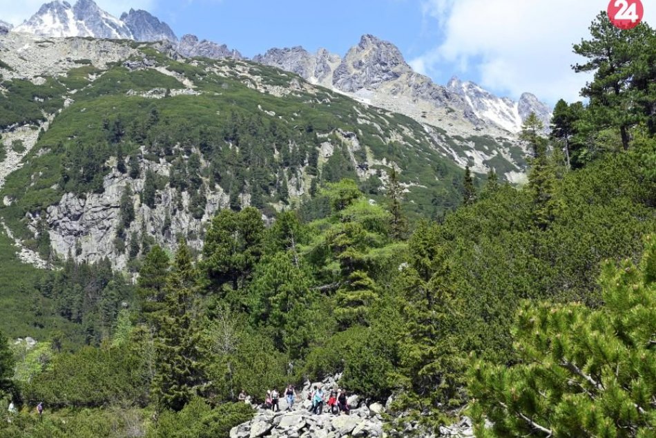 Ilustračný obrázok k článku Budú mať tatranské lesy nového správcu? Do parlamentu prichádza NOVÝ návrh