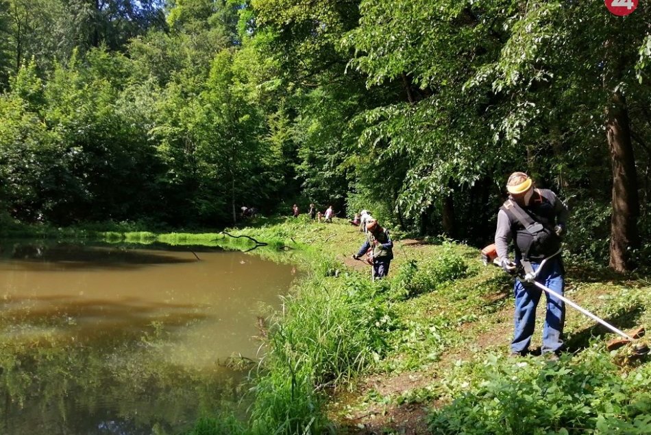 Ilustračný obrázok k článku Máme sa na čo tešiť! Pri zanedbanom jazierku vznikne nová oddychová zóna