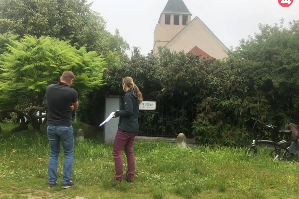 Ilustračný obrázok k článku Radničné námestie bude krajšie. Pribudnú stromy, kríky aj lavičky