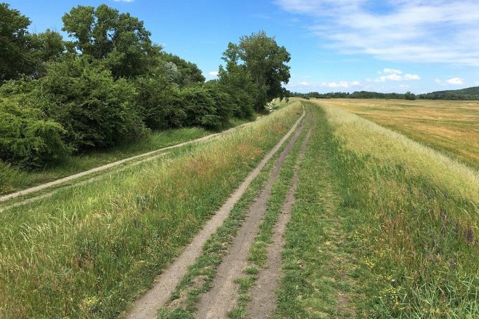 Ilustračný obrázok k článku Cyklochodník spojí Hlohovec s Koplotovcami za menej ako dva mesiace!