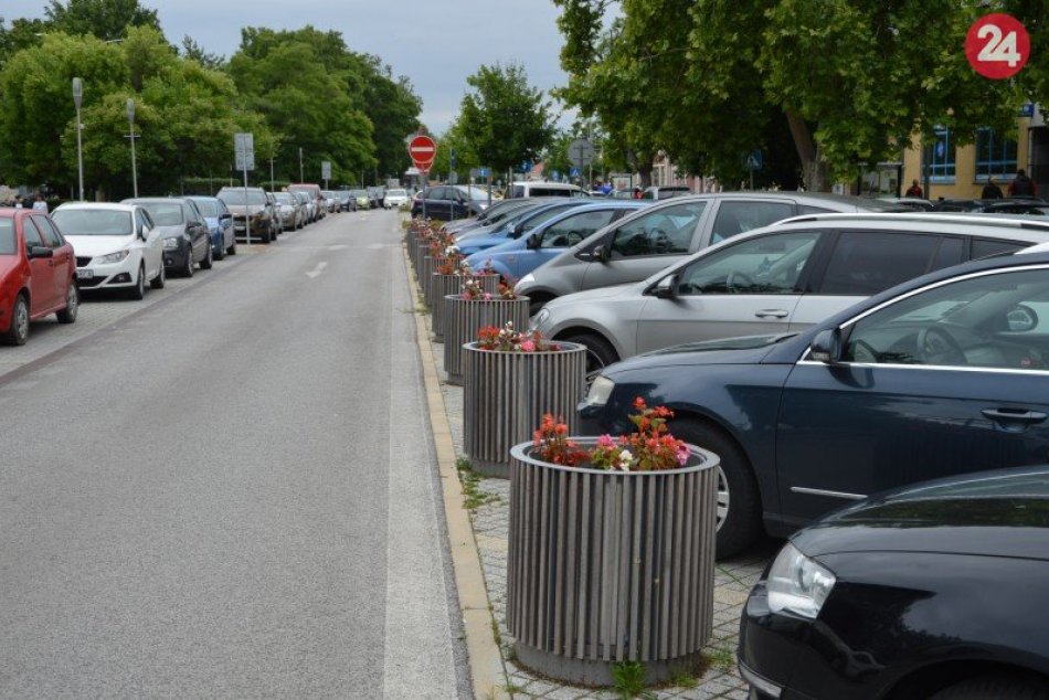 Ilustračný obrázok k článku Šaľa rozkvitla: Prechádzku ulicami spríjemňujú kvetinové záhony, FOTO