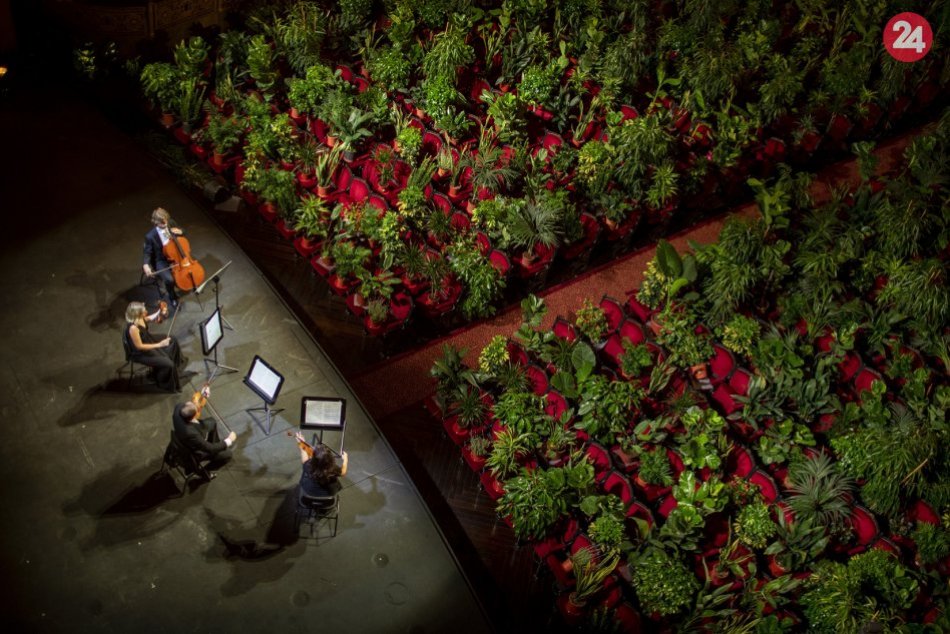 Ilustračný obrázok k článku KURIOZITA DŇA: Takéto publikum ste v opere ešte nevideli!