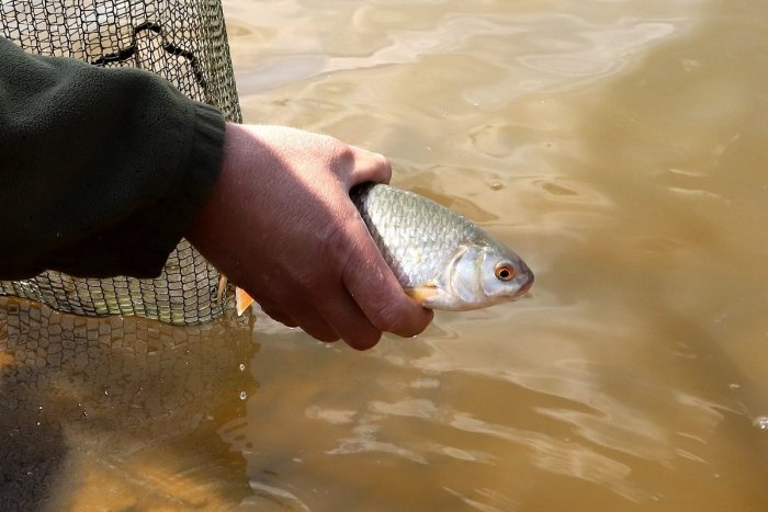 Ilustračný obrázok k článku Kauza predaja rybníkov v Považskej Bystrici: Na vec sa pozrie prokurátor