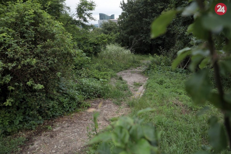 Ilustračný obrázok k článku Medzi Terasou a centrom mesta by mal vyrásť nový zelený park, FOTO