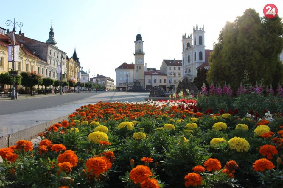 Ilustračný obrázok k článku Bystricu opäť rozžiaria kvety: Budúca výzdoba mesta je už v skleníkoch, VIDEO