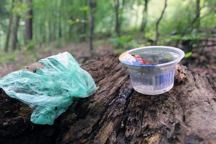 Ilustračný obrázok k článku Slováci, nebuďme prasatá: Aj doma v obývačke máte odpadky?