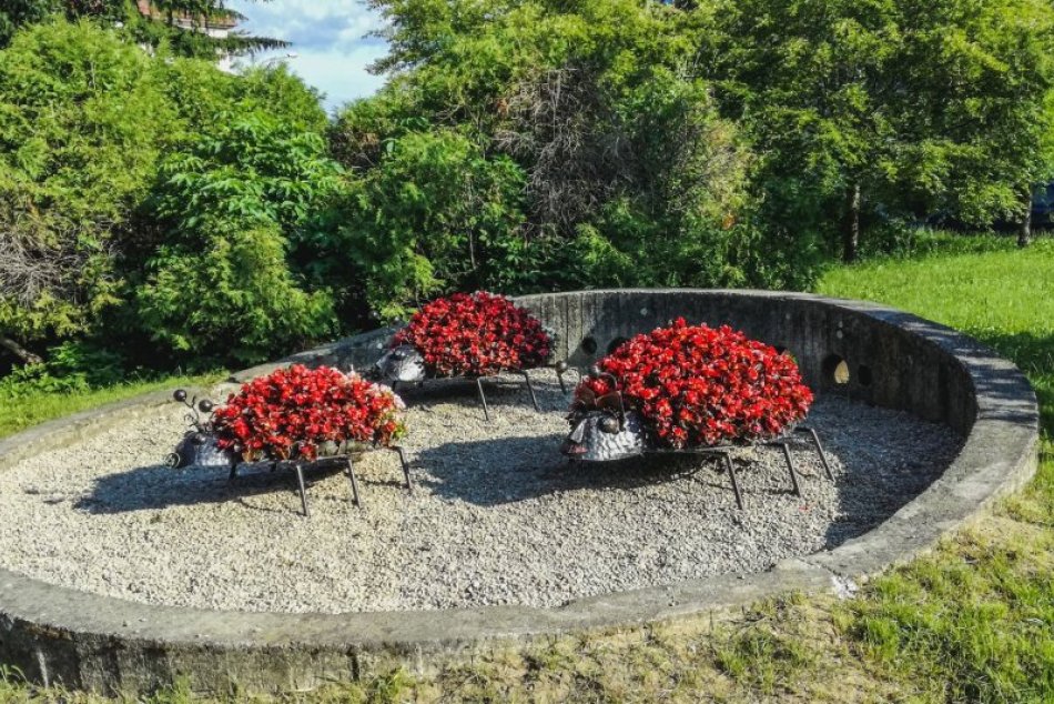 Ilustračný obrázok k článku Bystričanov poteší nevšedná výzdoba: Videli ste už kvetinové lienky? FOTO