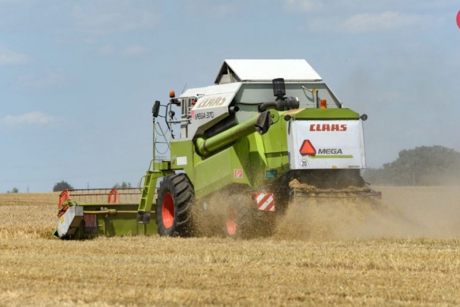 Ilustračný obrázok k článku Podľa pranostík nás vraj čaká najhorúcejšia časť leta, čo na to Margita?