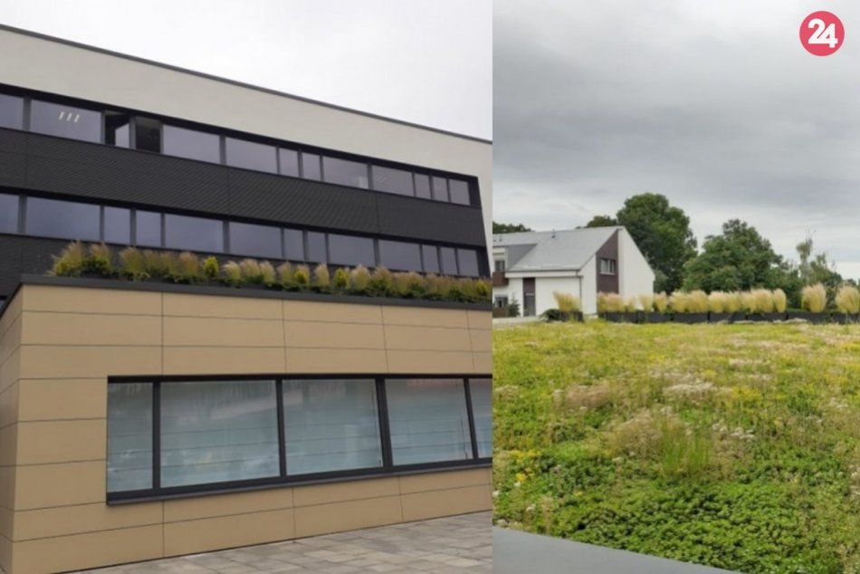 Ilustračný obrázok k článku Pripravujú novinky: Oživia zelenú strechu na mestskom úrade