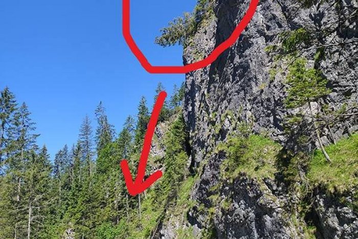 Ilustračný obrázok k článku Vyschnuté stromy ohrozujú turistov v Tatrách: Dva chodníky uzavreli