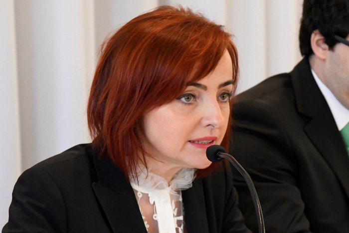 Ilustračný obrázok k článku Macháčková ide do predstavenstva: Opozícia kritizuje proces výberu