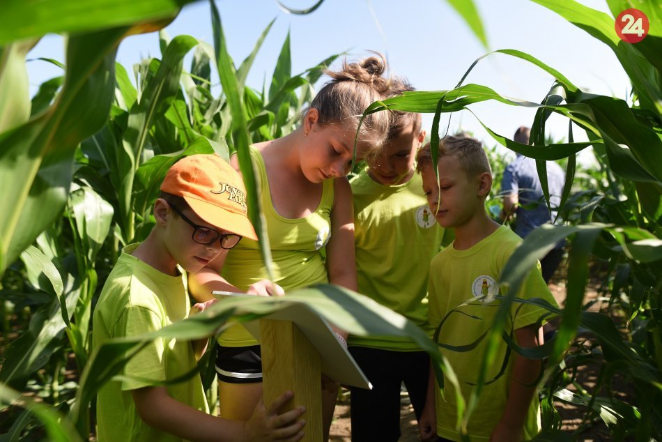 Ilustračný obrázok k článku KURIOZITA DŇA: Straťte sa v kukuričnom bludisku! Má jedinečnú podobu dinosaura