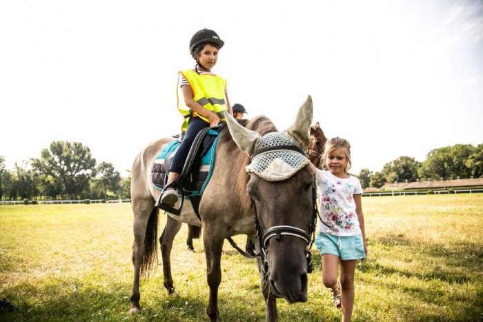 Ilustračný obrázok k článku Denné tábory so zvieratkami pre deti z Trenčína a okolia