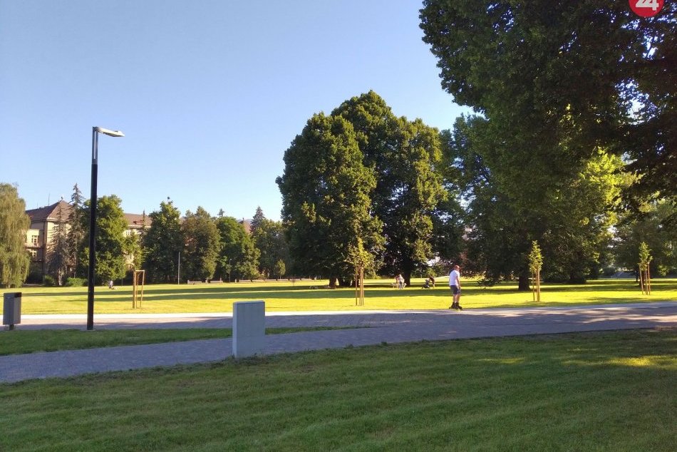 Ilustračný obrázok k článku Merania odhalili nepríjemné skutočnosti: V Bystrici nás trápia tieto pele