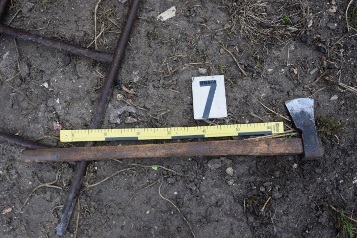 Ilustračný obrázok k článku Horor po príchode syna (32): V ruke mal sekeru, vystrašená matka sa bála o život