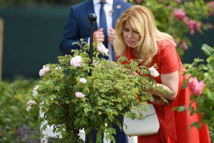 Ilustračný obrázok k článku Na Horehroní sa ukázala Čaputová: Prezidentka hovorila o unikátnom projekte