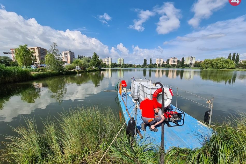 Ilustračný obrázok k článku Na košickom jazere opäť začali bojovať so sinicami, môžete sa kúpať? FOTO