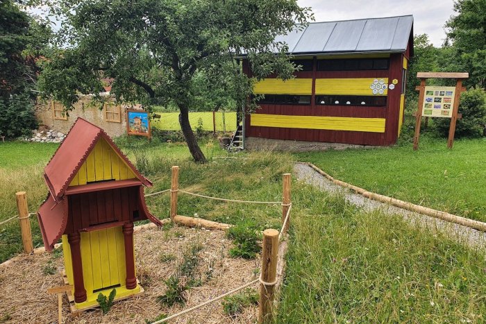 Ilustračný obrázok k článku Na Liptove reagujú na ubúdanie včelárov: V Závažnej Porube prišli so zaujímavým nápadom