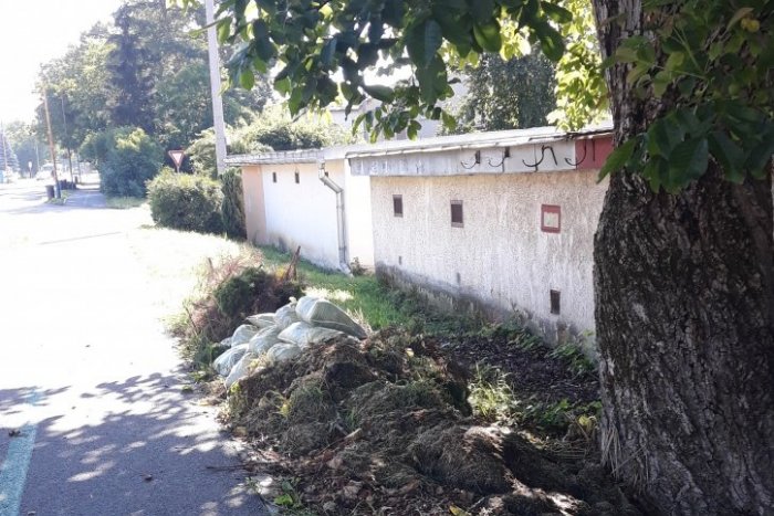 Ilustračný obrázok k článku Môžete vyhadzovať bio odpad pred vlastný dom?