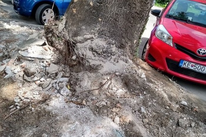 Ilustračný obrázok k článku Vodiči pozor! Doprava na Šoltésovej ulici bude obmedzená