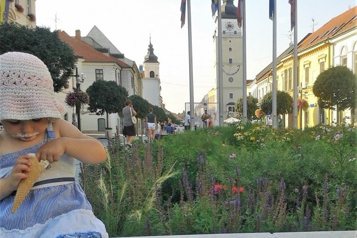 Ilustračný obrázok k článku Kde v centre Trnavy robia najlepšiu zmrzlinu? HLASUJTE!