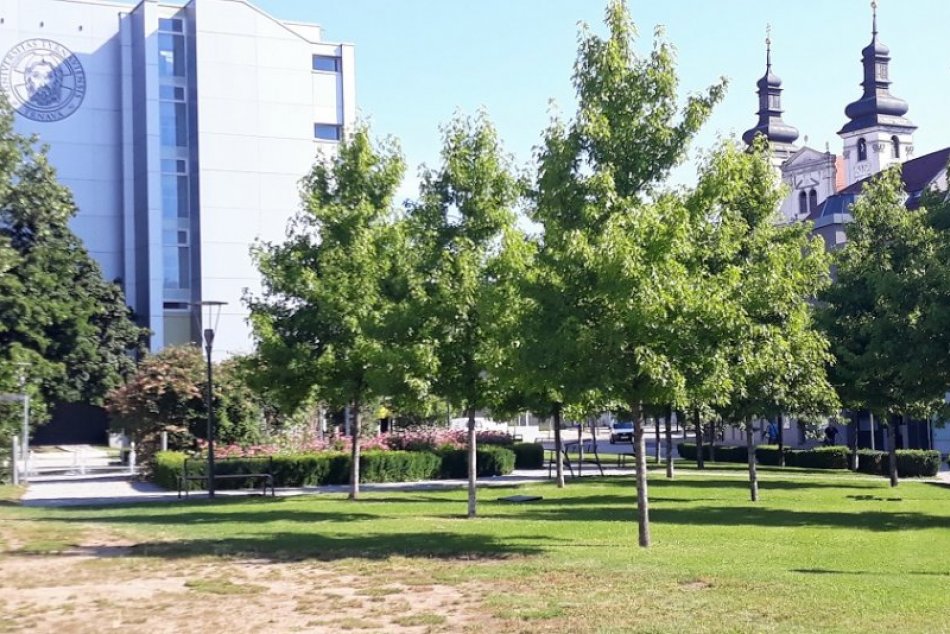 Ilustračný obrázok k článku Univerzitný parčík roky špatí vyschnutá plocha. Mesto je bezmocné, FOTO