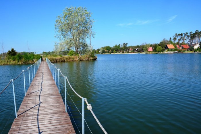 Ilustračný obrázok k článku Tip na výlet: Prejdite sa po romantických lúčnych nivách či bujných lužných lesoch